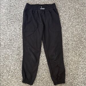 Patagonia Foxglenn hiking joggers